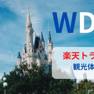 非売品 JAL フロリダ ウォルト ディズニー ワールド トラベルポーチ 1個 WDW｜【期間限定！4~8日券＋2日券チケット】を楽天トラベル観光